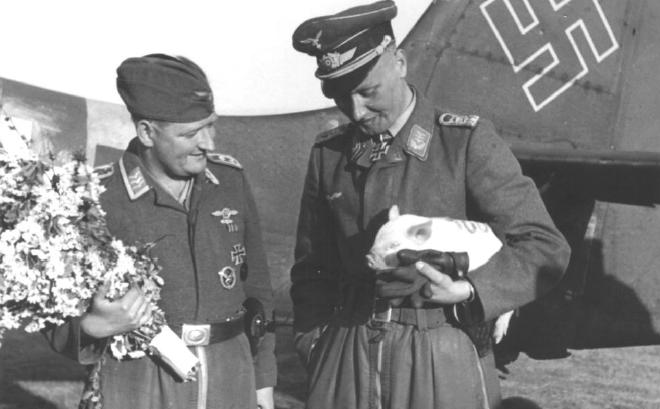 43_19310.jpg