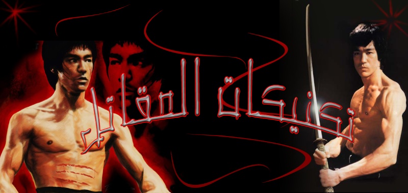 تكنيكات المقاتل
