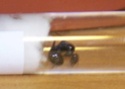 http://i30.servimg.com/u/f30/11/84/72/52/th/messor10.jpg