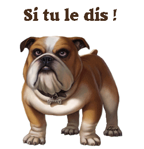 Image hébergée par servimg.com