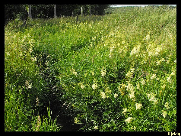 Image hébergée par servimg.com