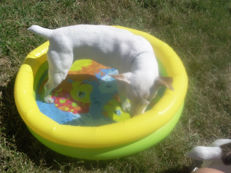 photo132.jpg