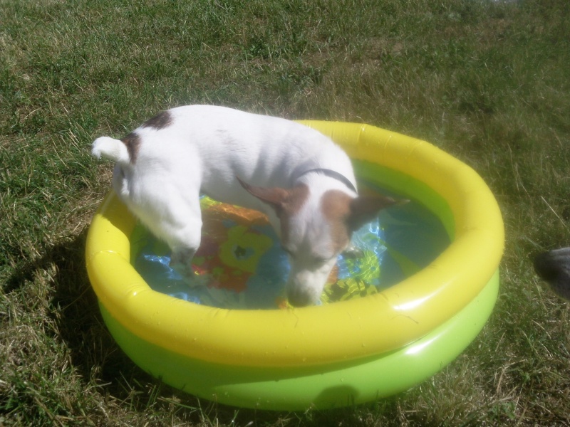 photo135.jpg