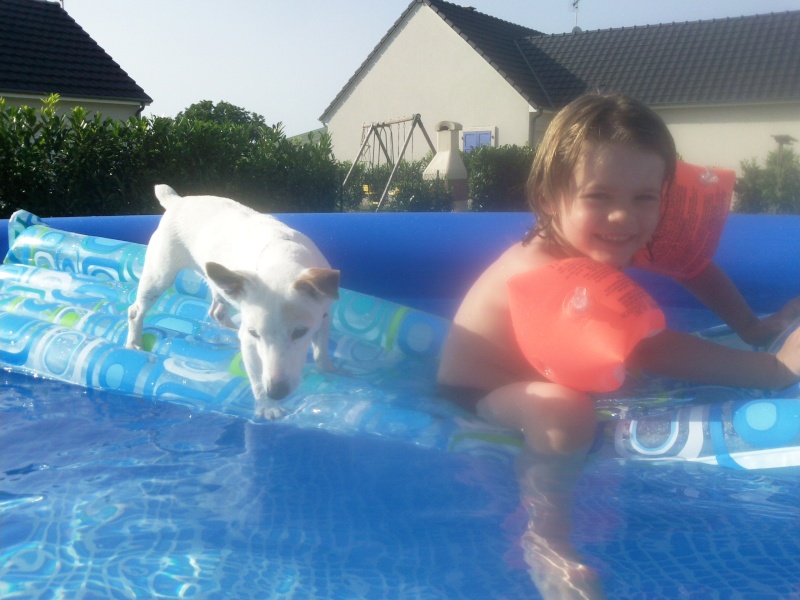 photo140.jpg