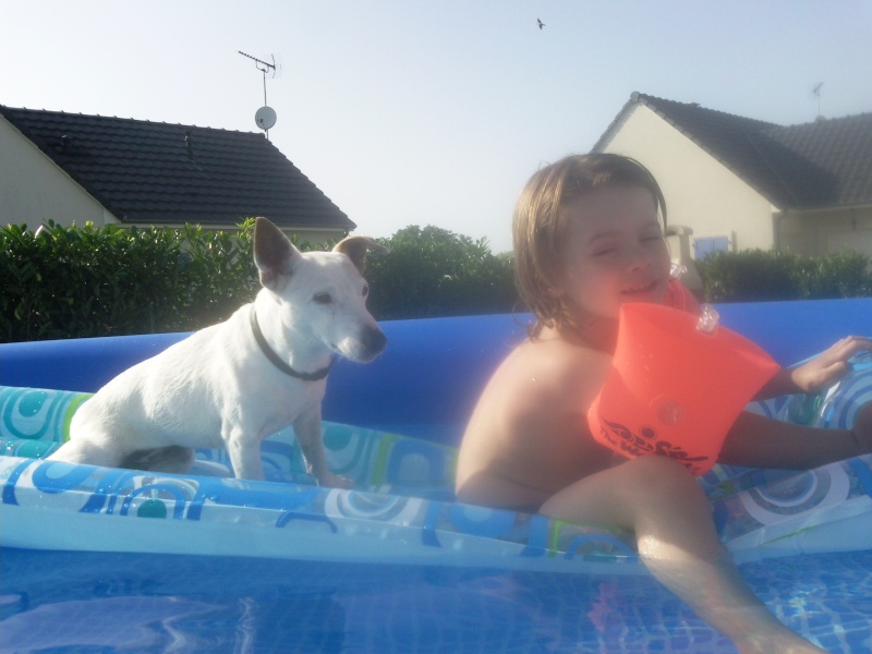 photo143.jpg