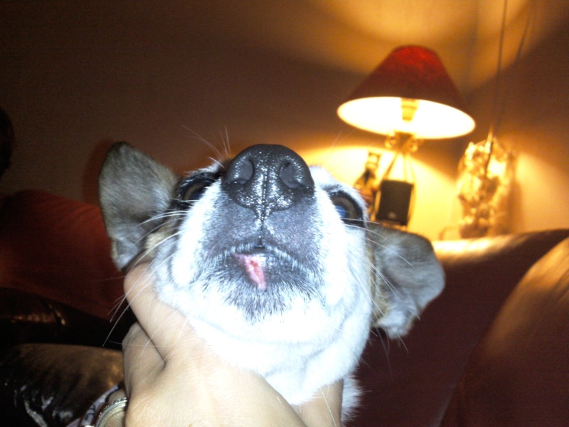 photo179.jpg