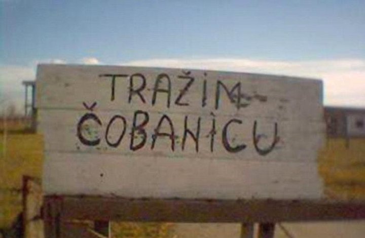 cobani10.jpg