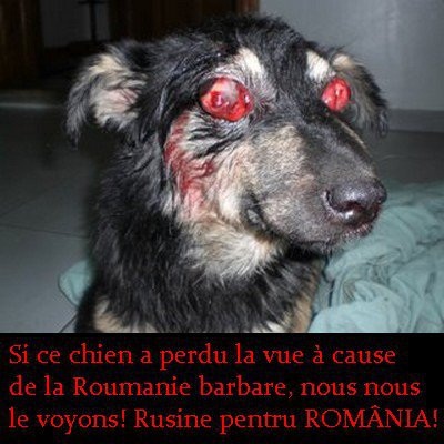 http://i30.servimg.com/u/f30/09/00/68/24/perdu_10.jpg