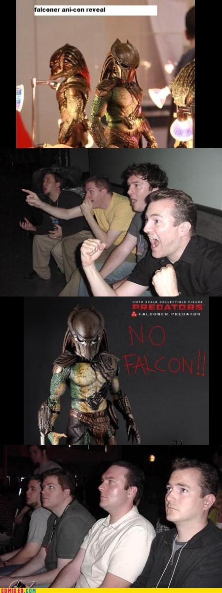 falcon10.jpg