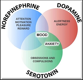 dopami10.jpg