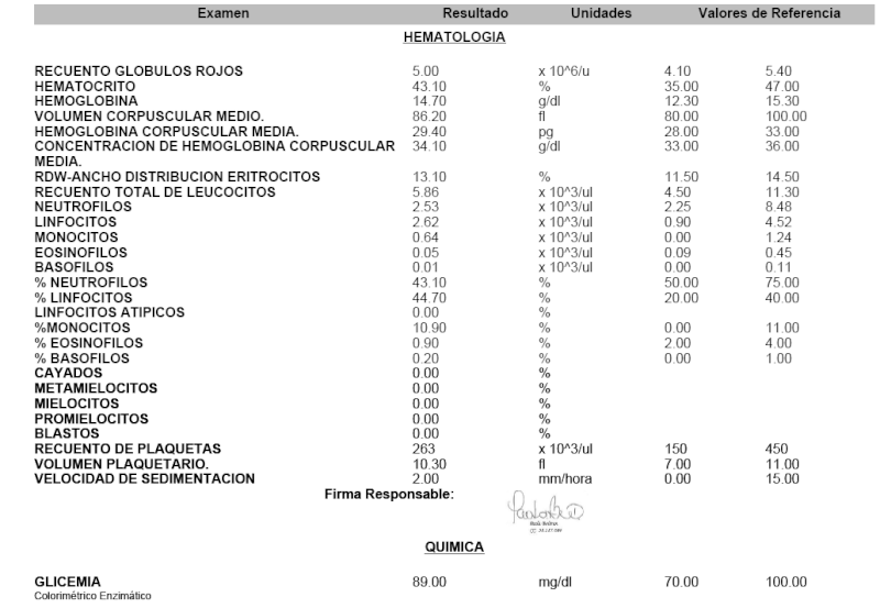 Que son los linfocitos en un analisis de sangre