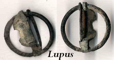 lupus113.jpg