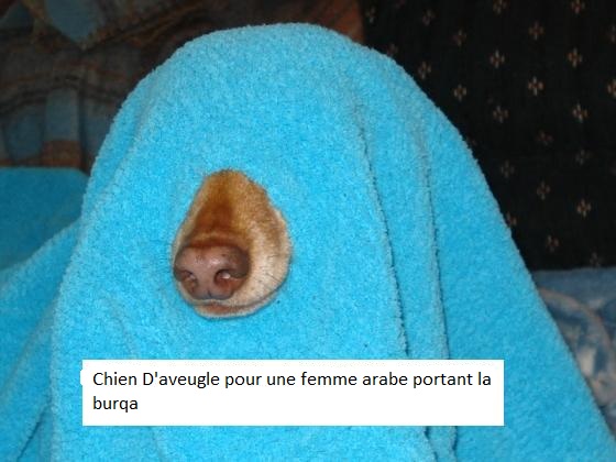 burqa10.jpg